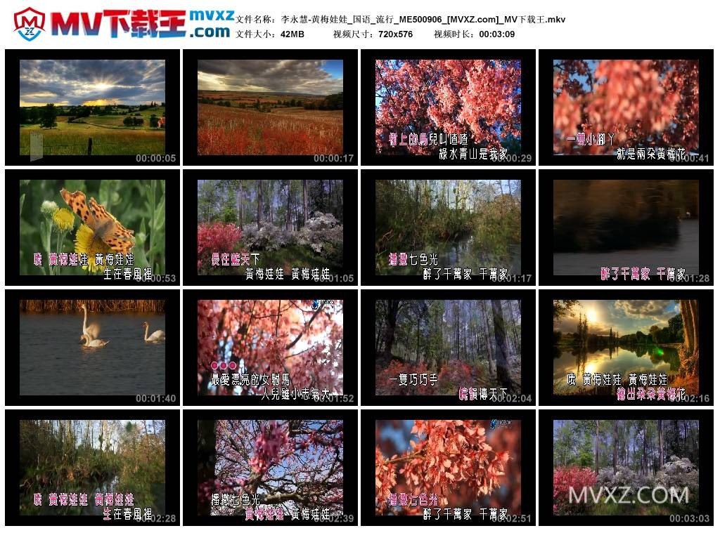 李永慧-黄梅娃娃_国语_流行_ME500906